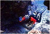 Diving Cozumel